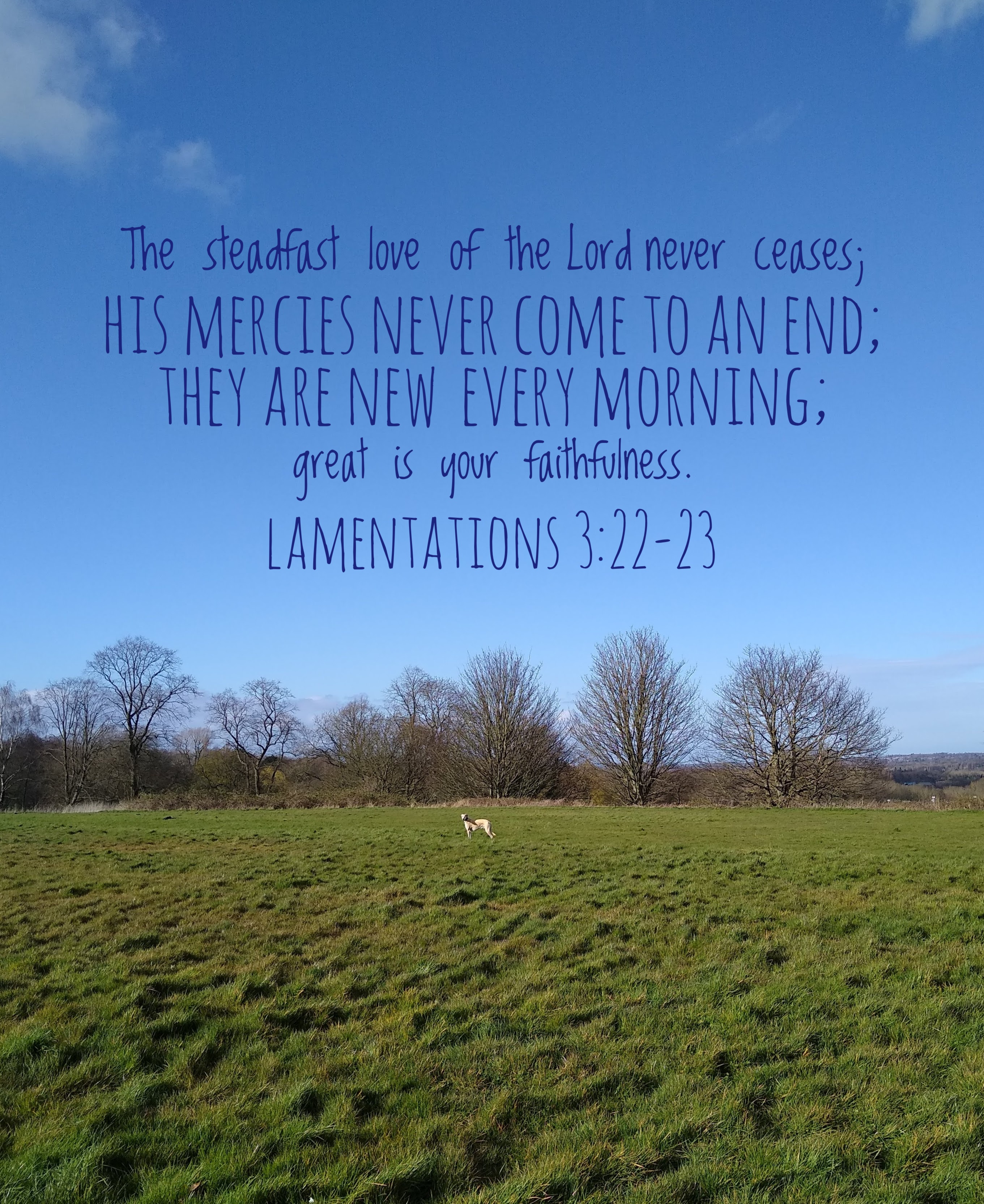 [Text on picture of blue sky, trees, green grass, dog] The steadfast love of the Lord never ceases; his mercies never come to an end; they are new every morning; great is your faithfulness.